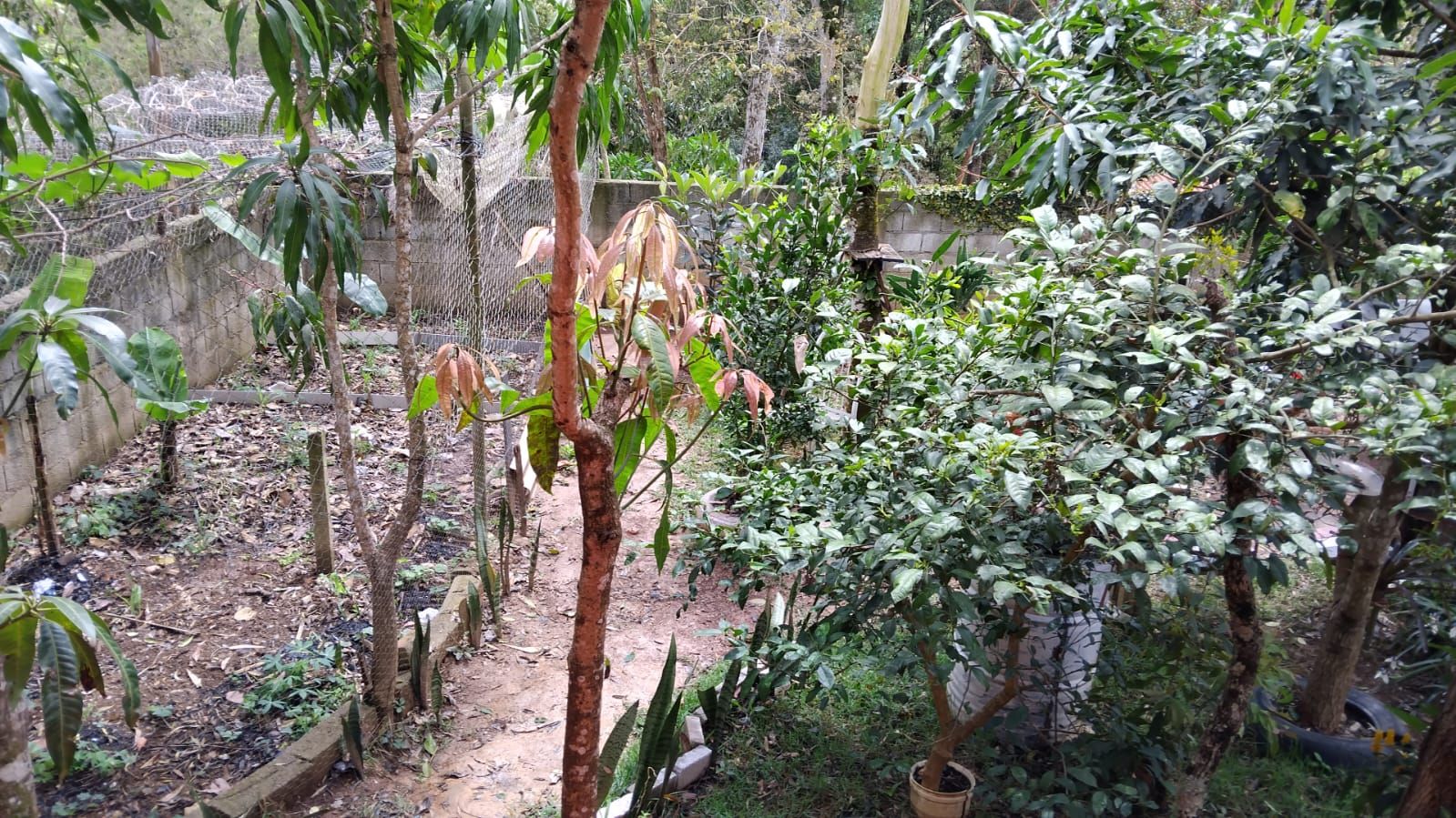 FOTO_8 - 8