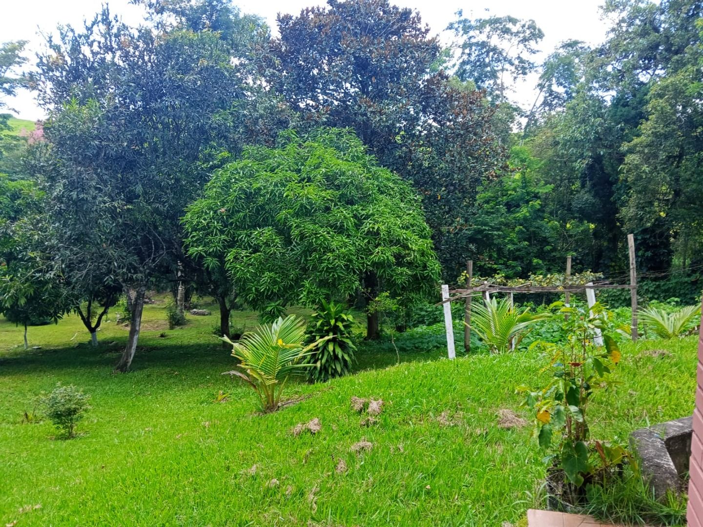 FOTO_2 - 2