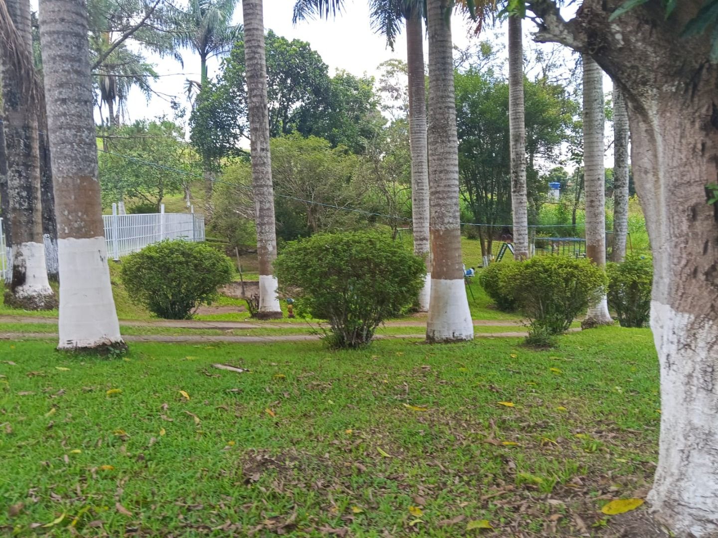 FOTO_6 - 6