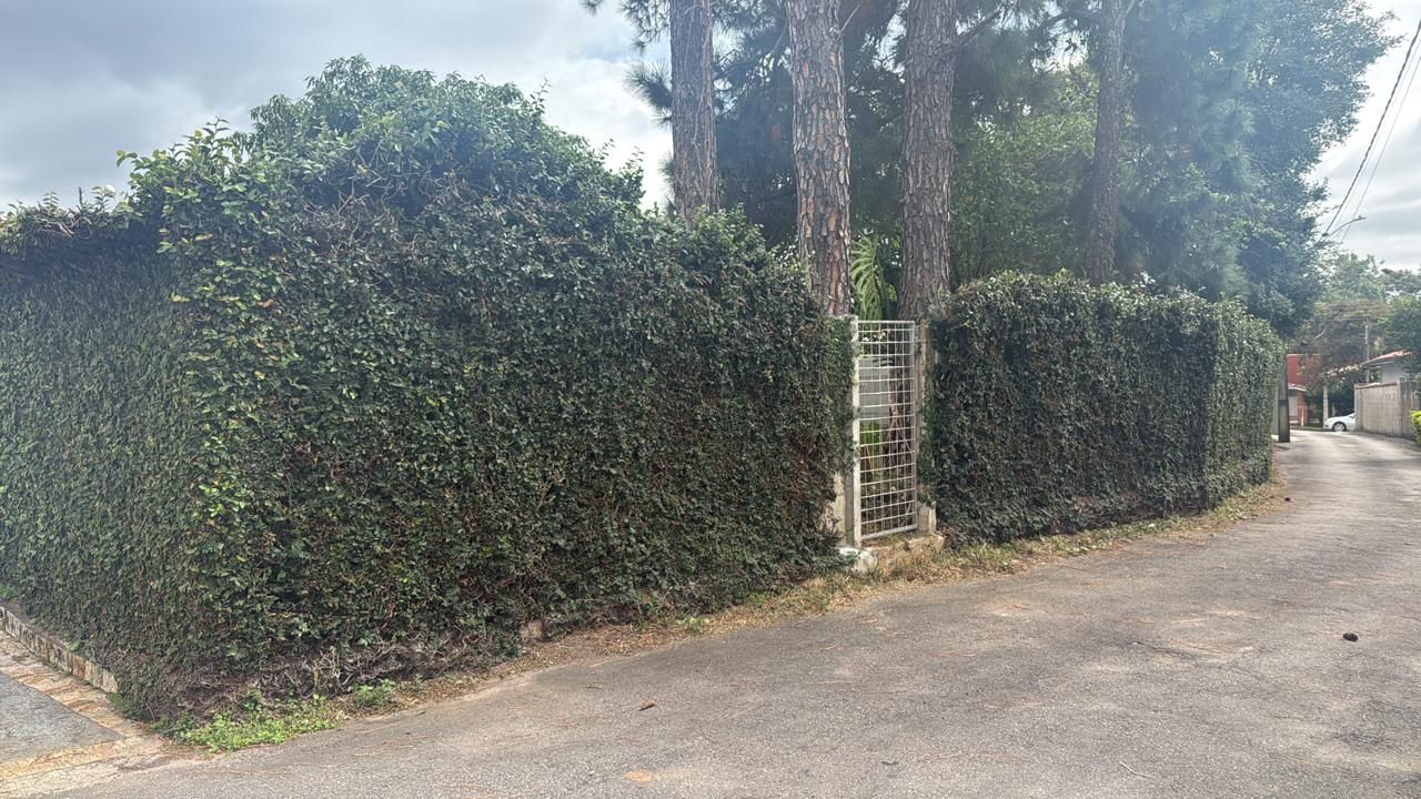 FOTO_11 - 11