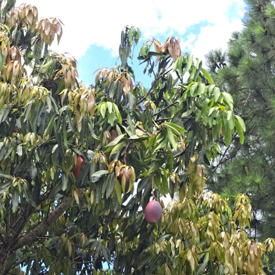 FOTO_3 - 3