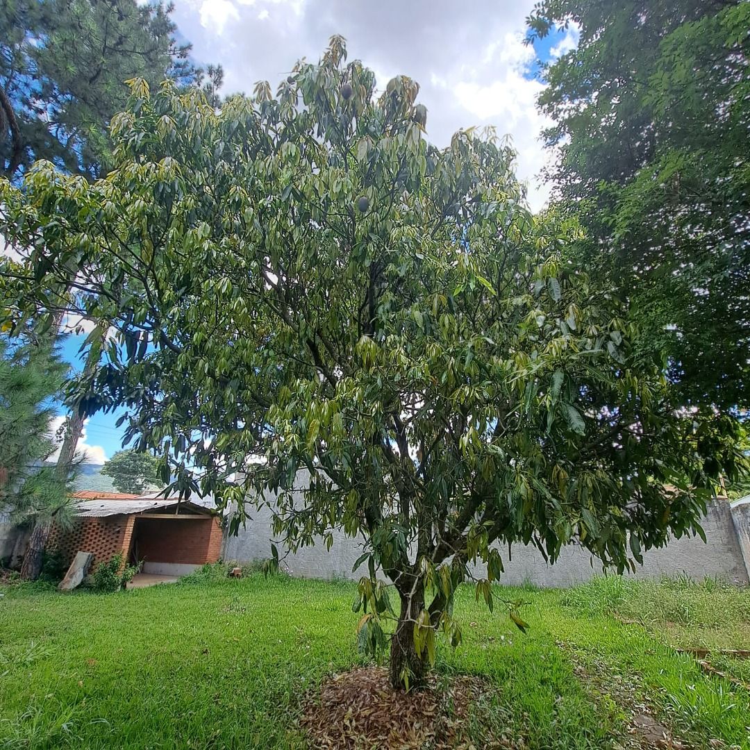 FOTO_4 - 4