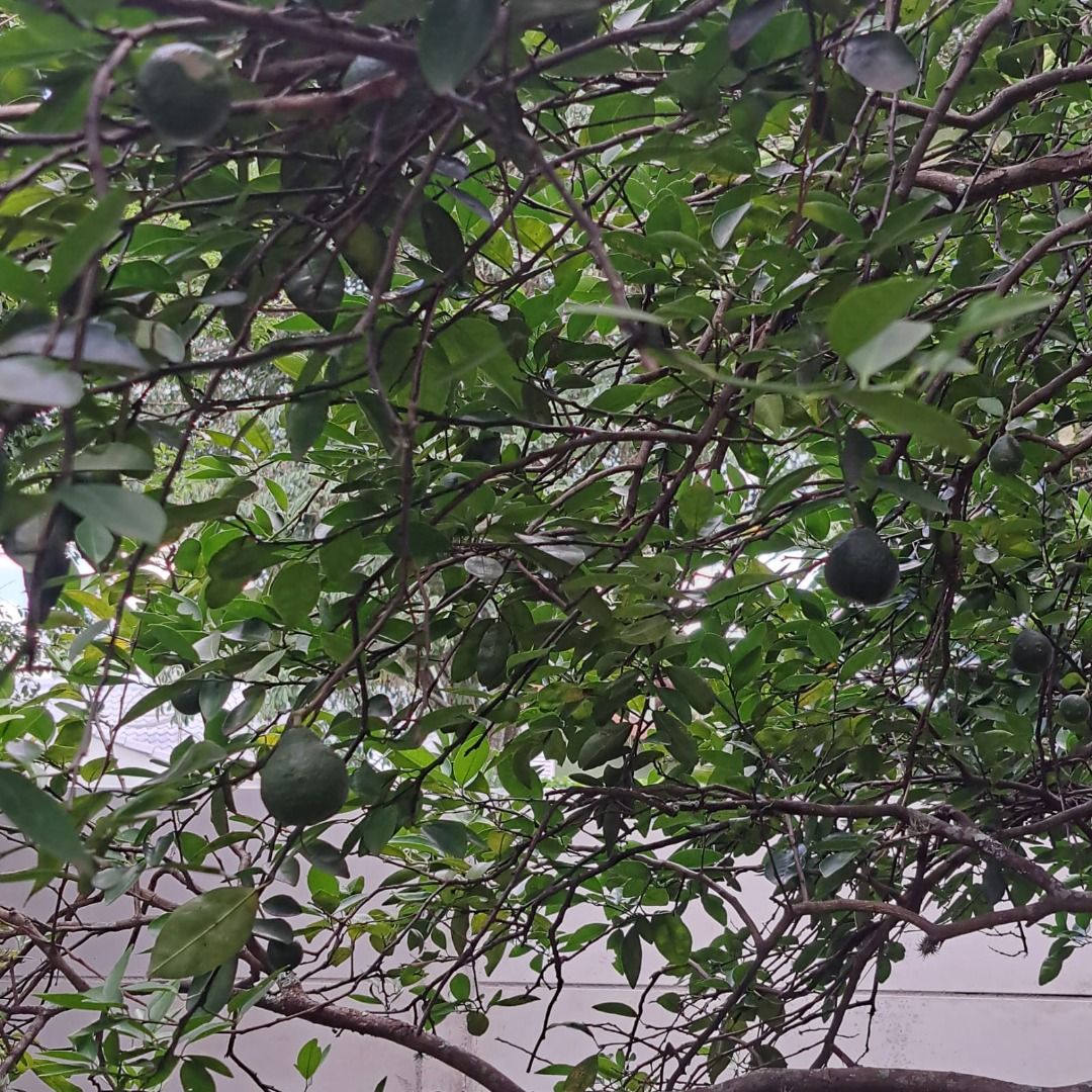 FOTO_5 - 5