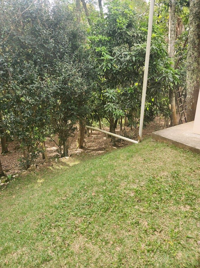 FOTO_31 - 31