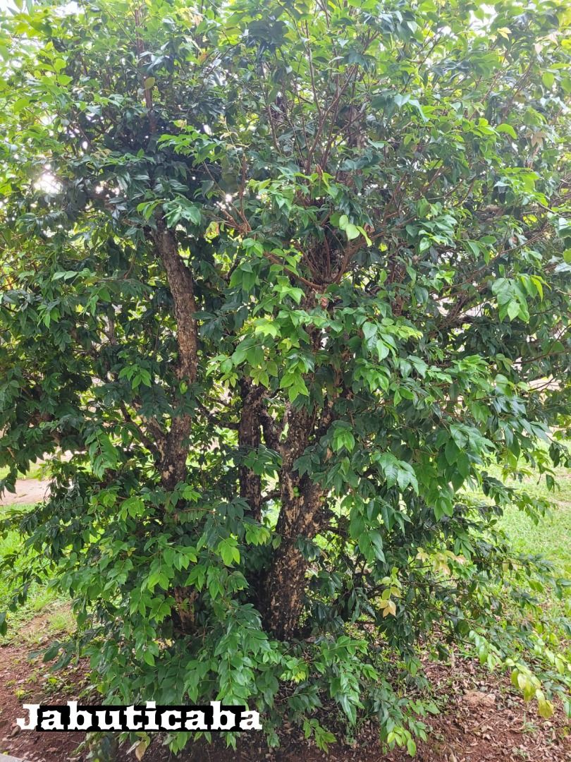 FOTO_6 - 6