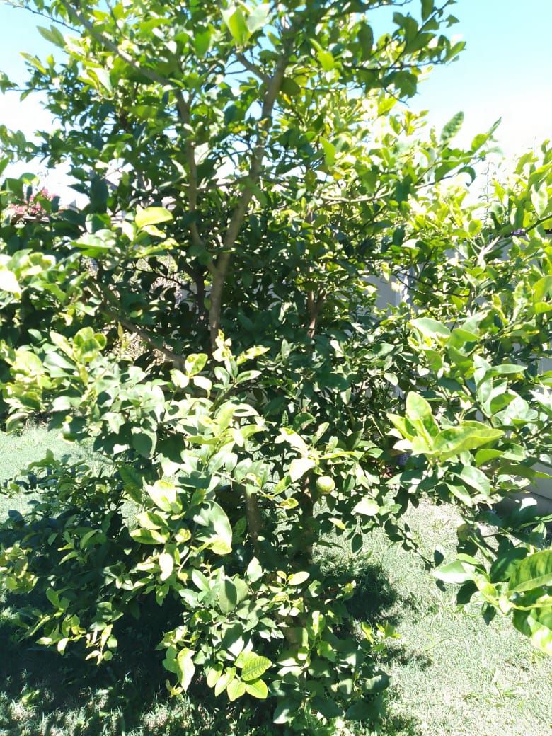 FOTO_16 - 16