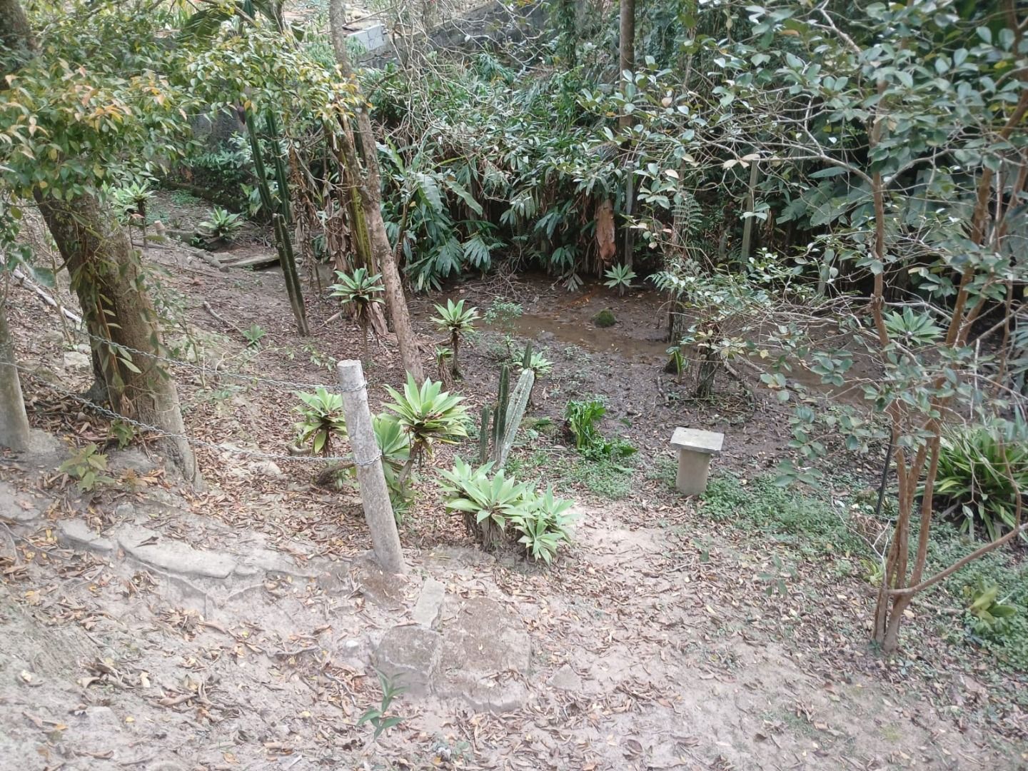 FOTO_4 - 4