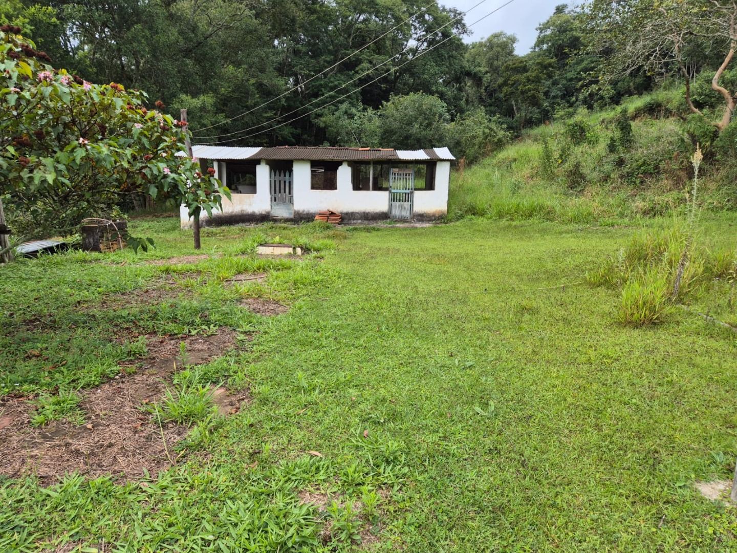 FOTO_1 - 1