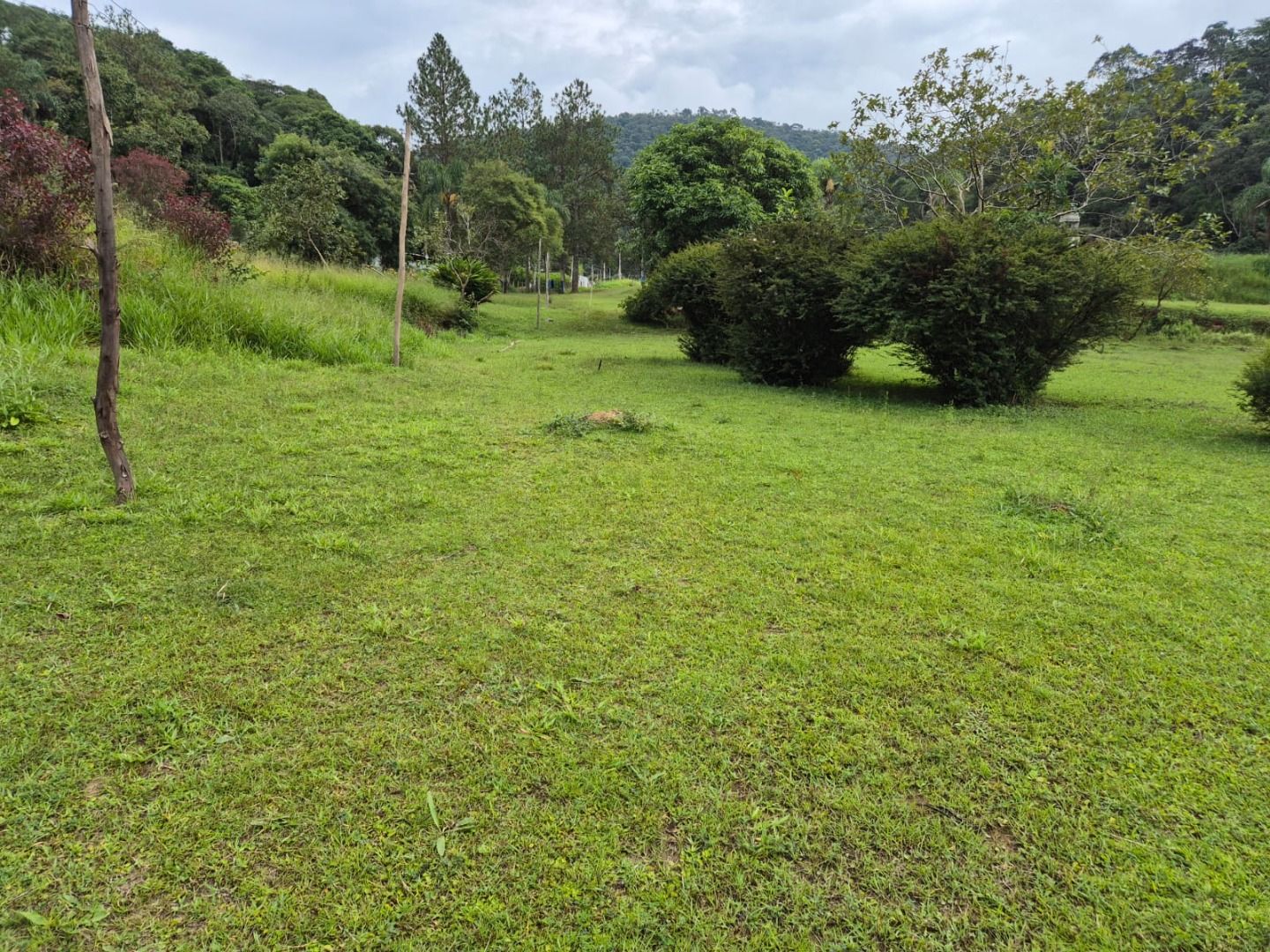 FOTO_2 - 2