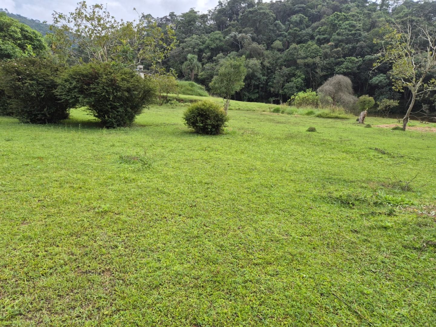 FOTO_3 - 3