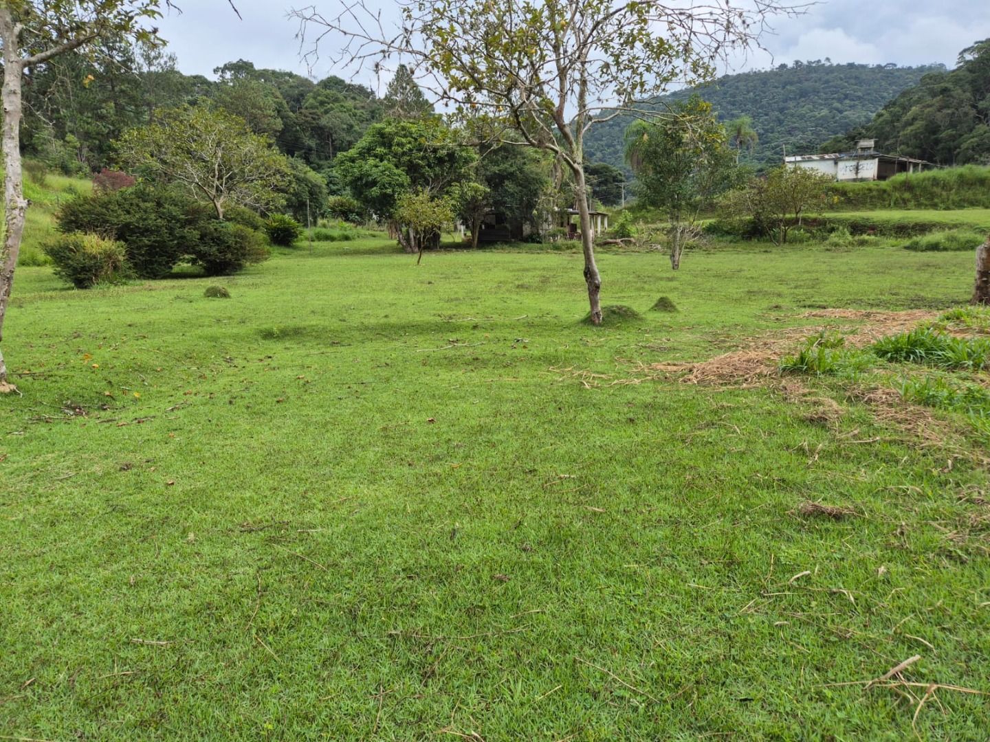 FOTO_4 - 4