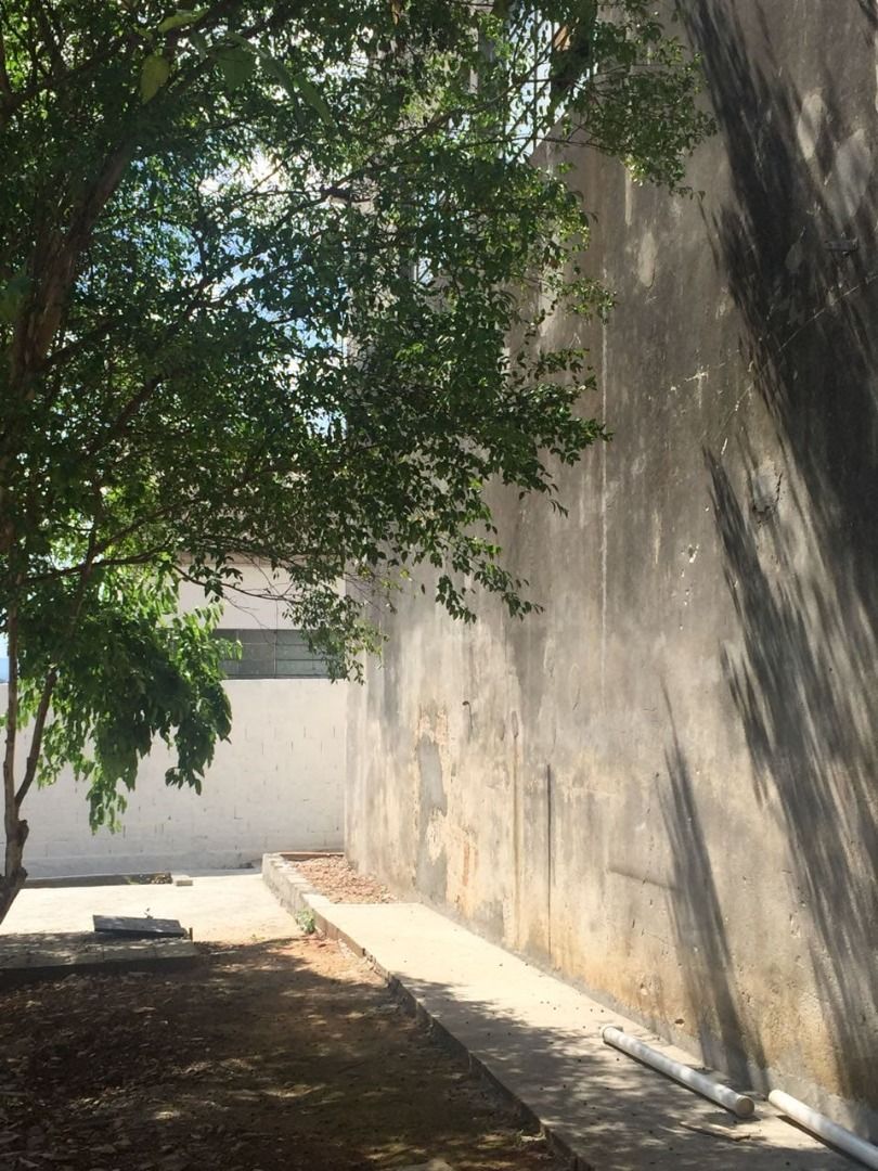 FOTO_5 - 5