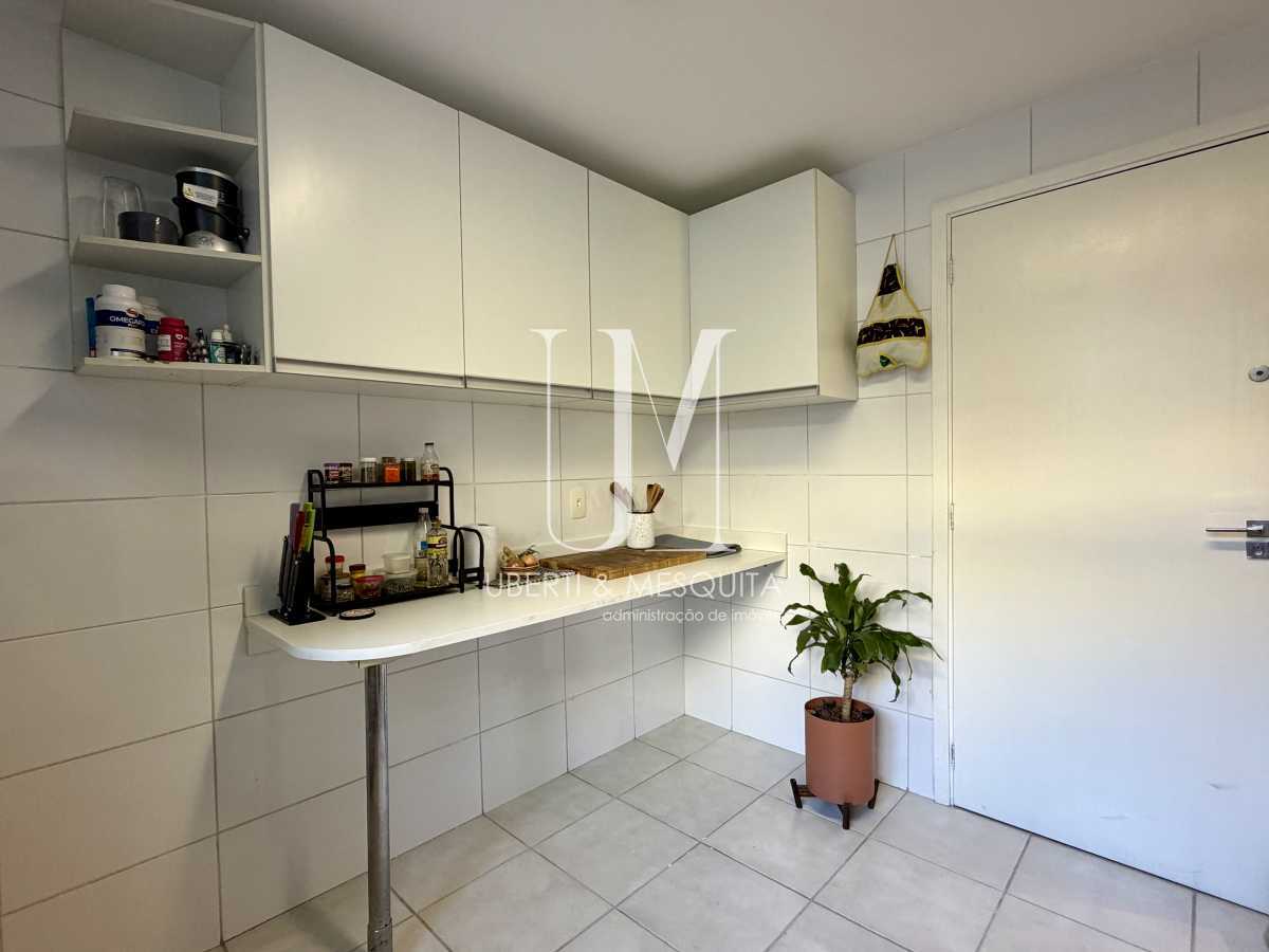 Conheça Cozinha do imóvel - Apartamento para alugar Rua Professor Luiz Cantanhede, Laranjeiras, Rio de Janeiro - R$ 5.500 - 497-01 - 20 Cozinha - 20