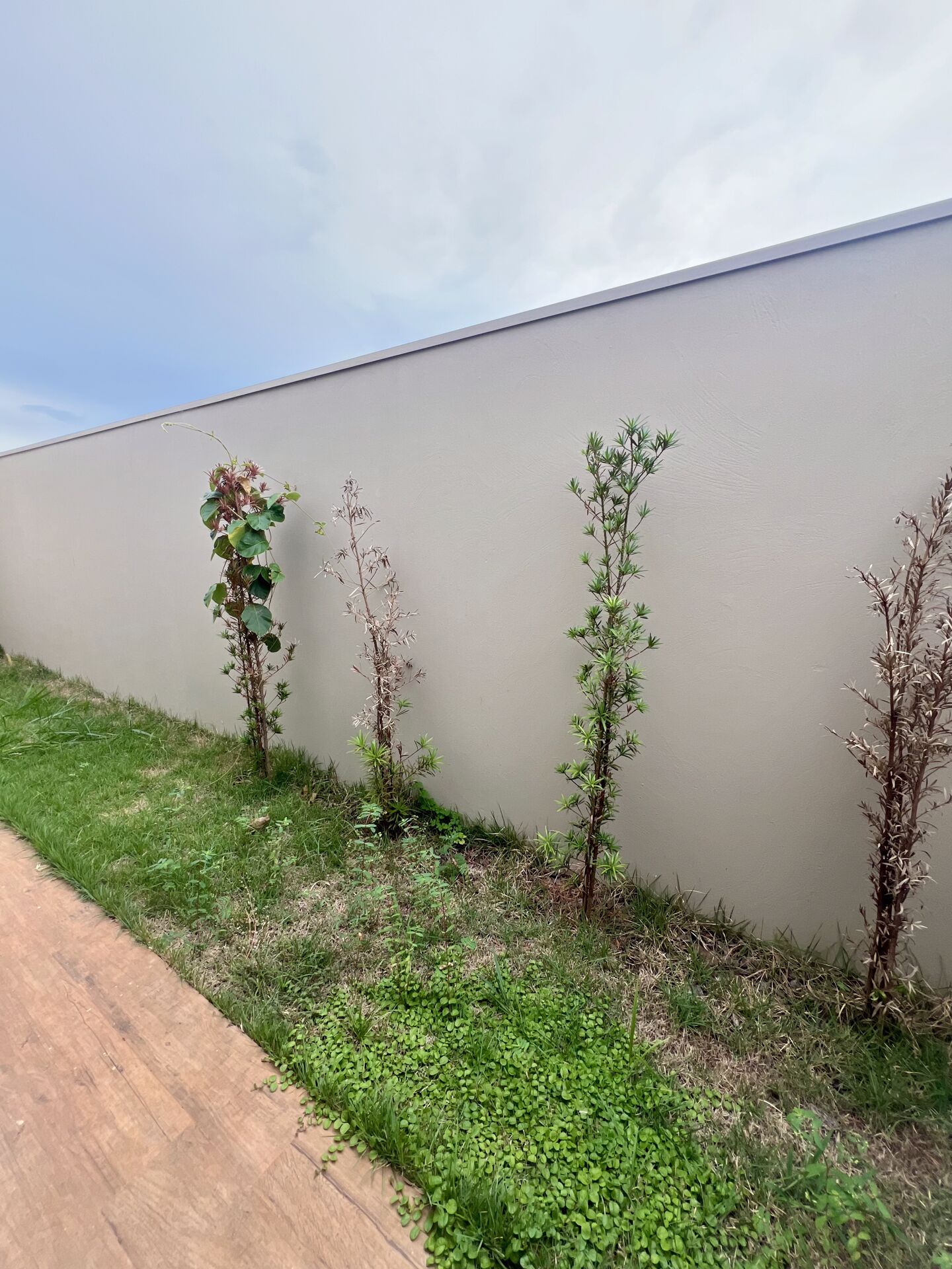 Conheça image do imóvel - Casa 3 quartos à venda Jardim Europa, Barretos - R$ 590.000 - 217 - 18 image - 18