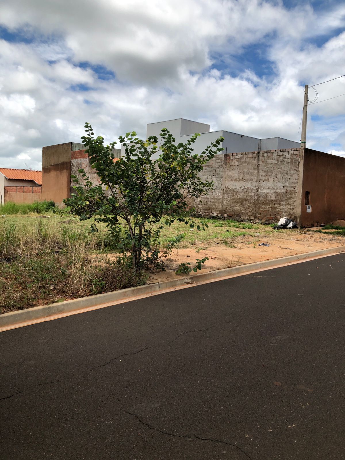 image - 2