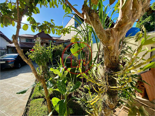 FOTO_5 - 5