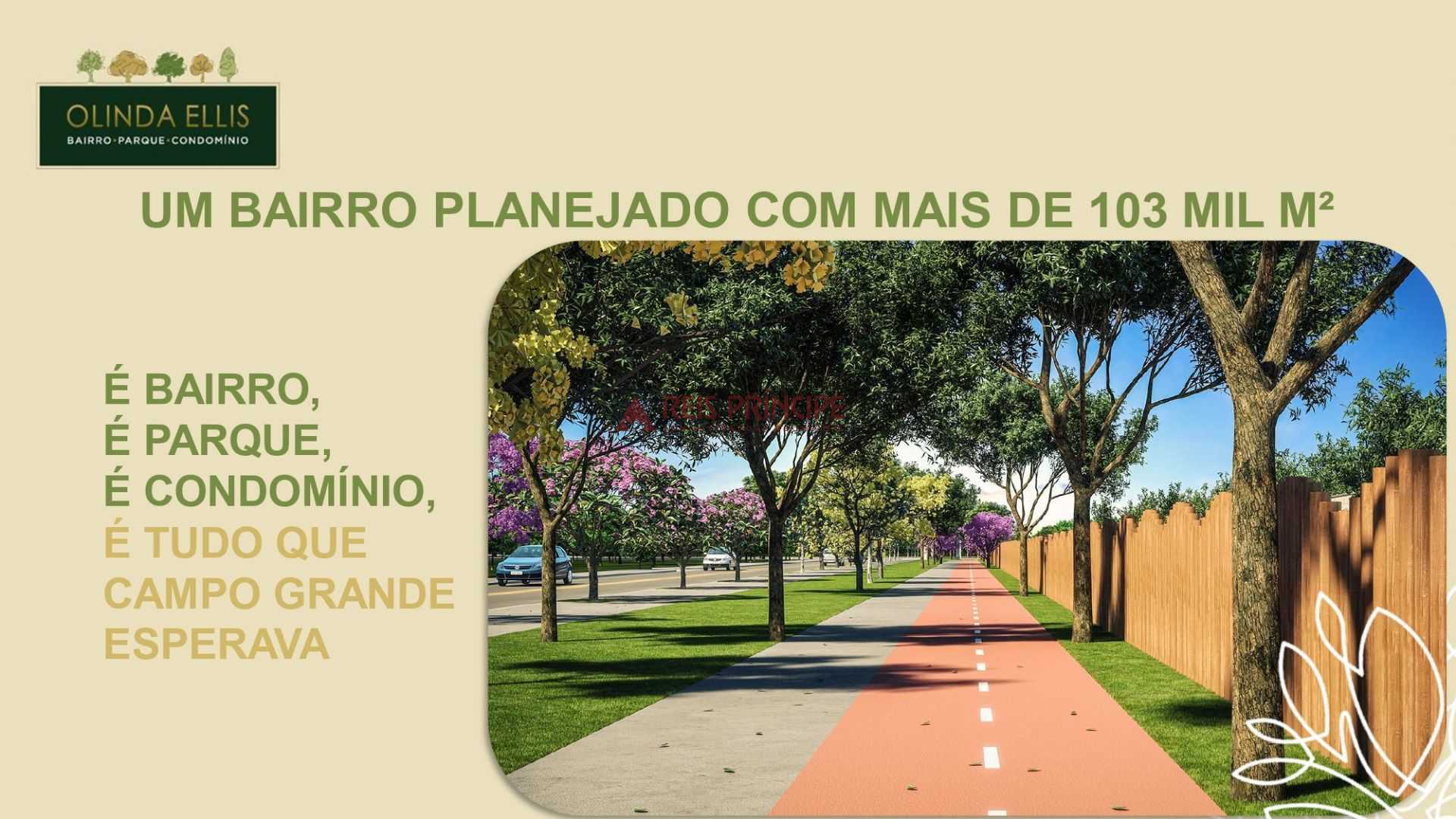FOTO_16 - 16