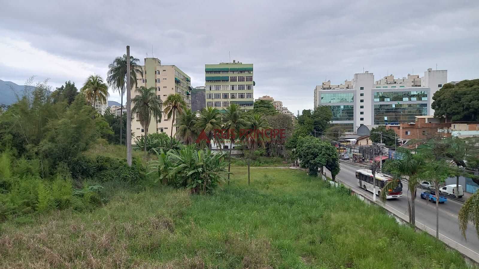 FOTO_4 - 4