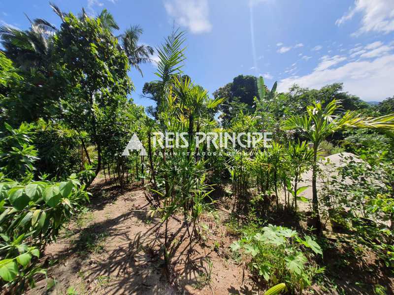 WhatsApp Image 2023-06-28 at 1 - 7