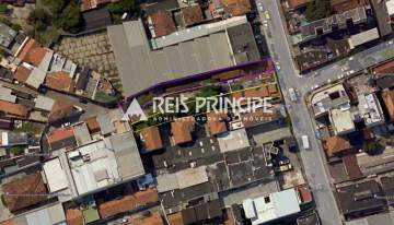 WhatsApp Image 2026-02-06 at 1 - 1