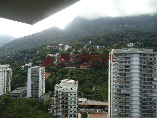 FOTO_11 - 11