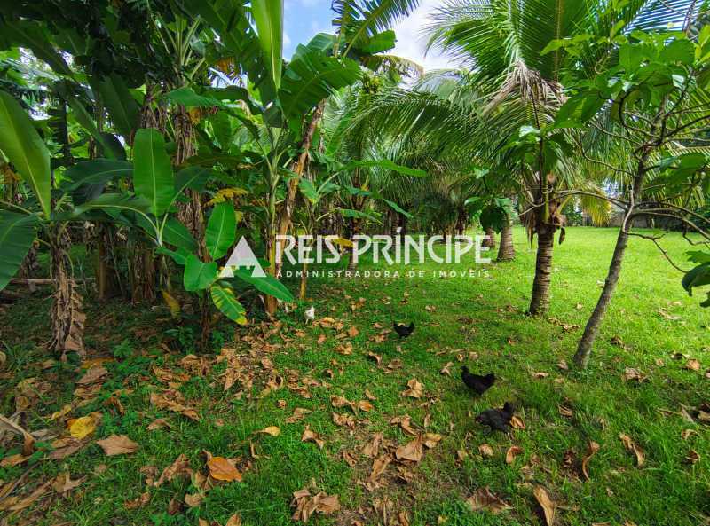 WhatsApp Image 2026-03-05 at 1 - 8