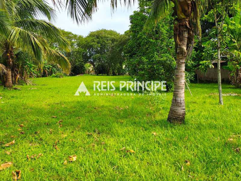 WhatsApp Image 2026-03-05 at 1 - 11