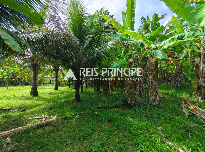 WhatsApp Image 2026-03-05 at 1 - 13