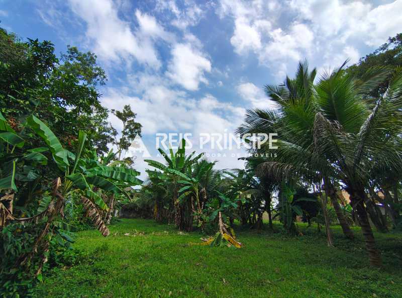 WhatsApp Image 2026-03-05 at 1 - 16