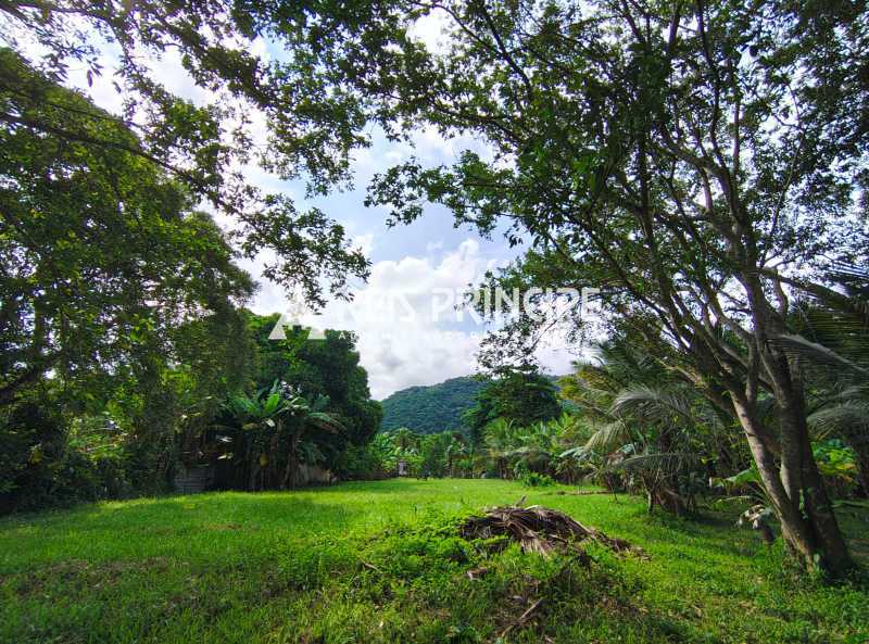 WhatsApp Image 2026-03-05 at 1 - 17