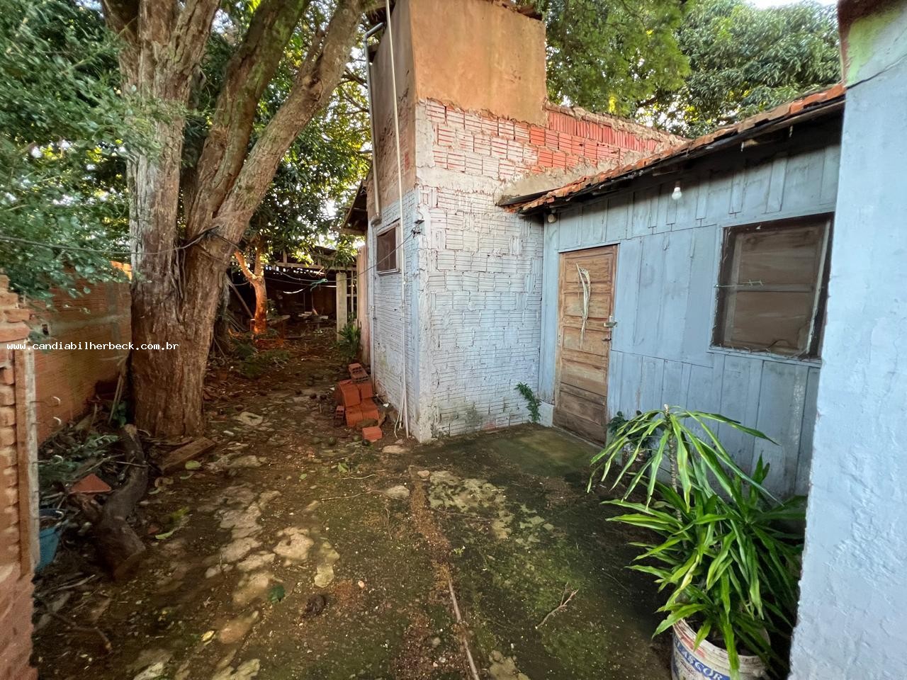 Conheça FOTO_2 do imóvel - Casa à venda PEDRO JUAN CABALLERO, Internacional - R$ 380.000 - 073 - 2 FOTO_2 - 2