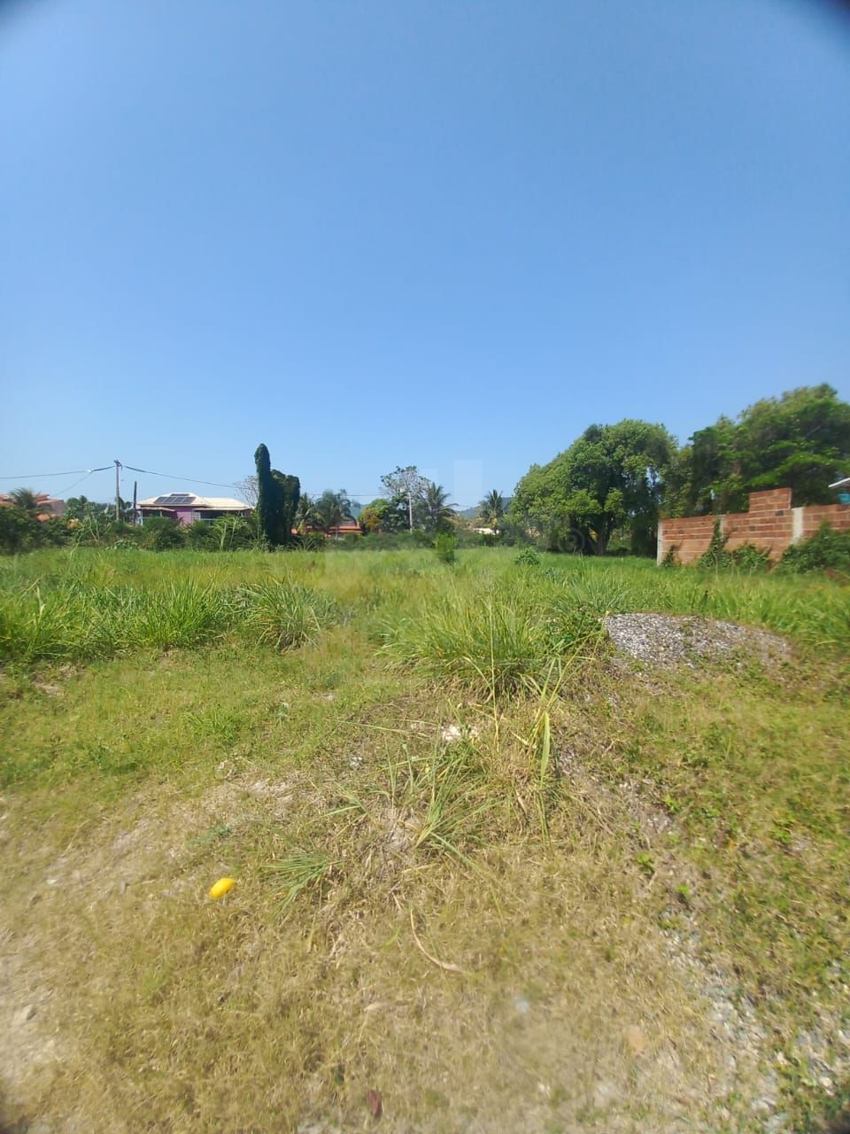 FOTO_1 - 1