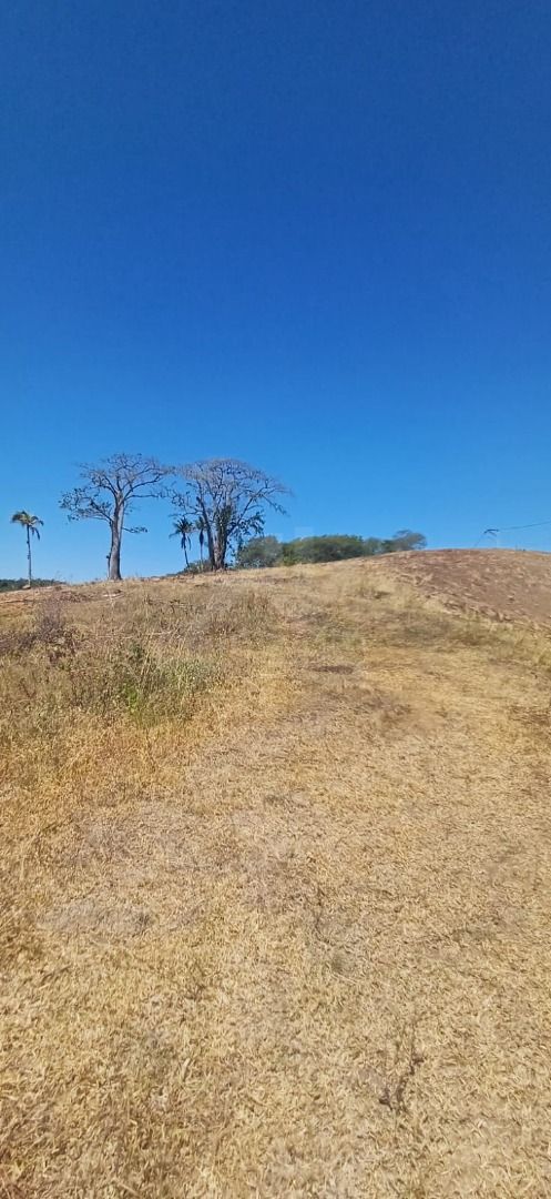 FOTO_3 - 3