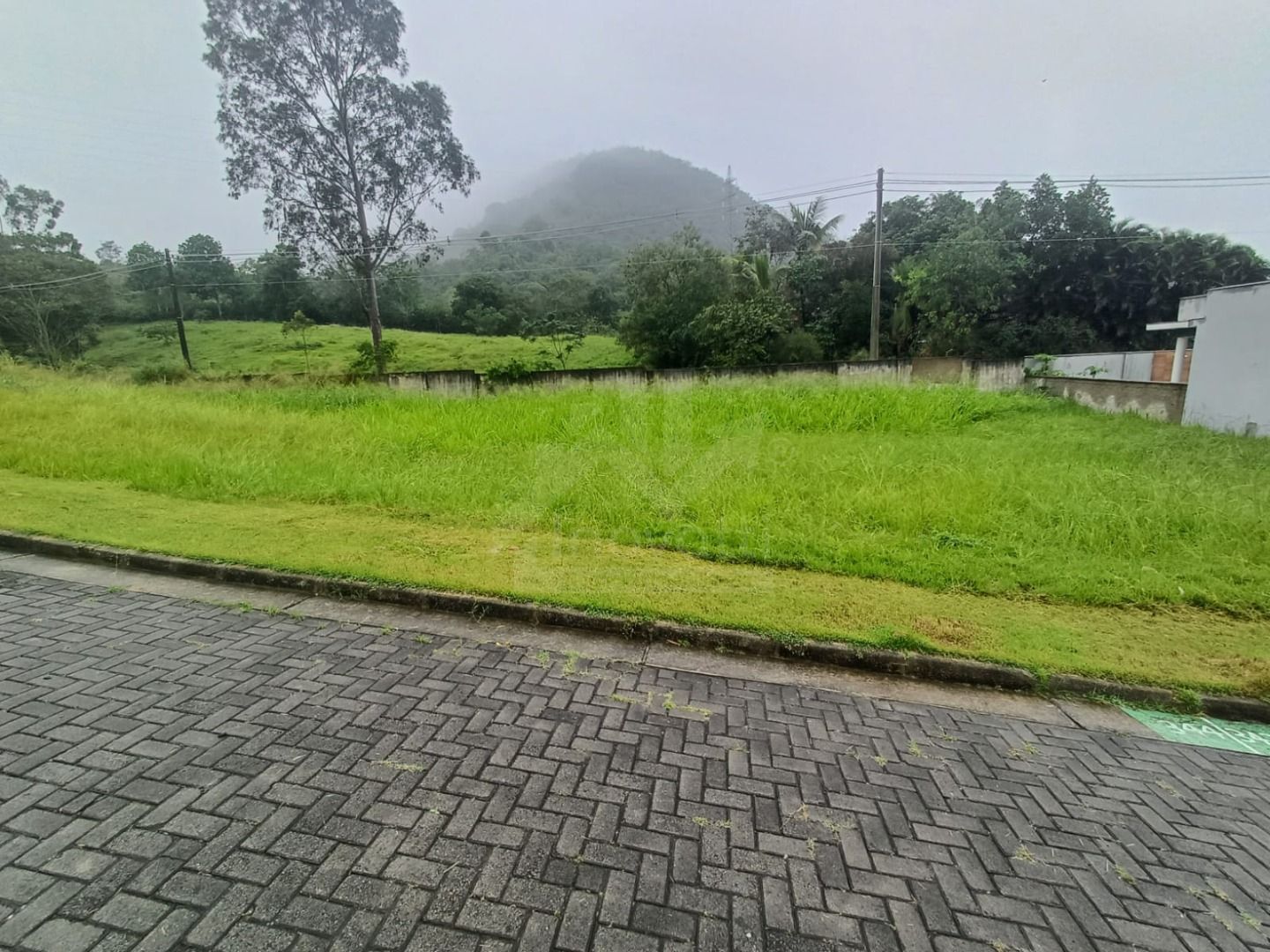 FOTO_1 - 1