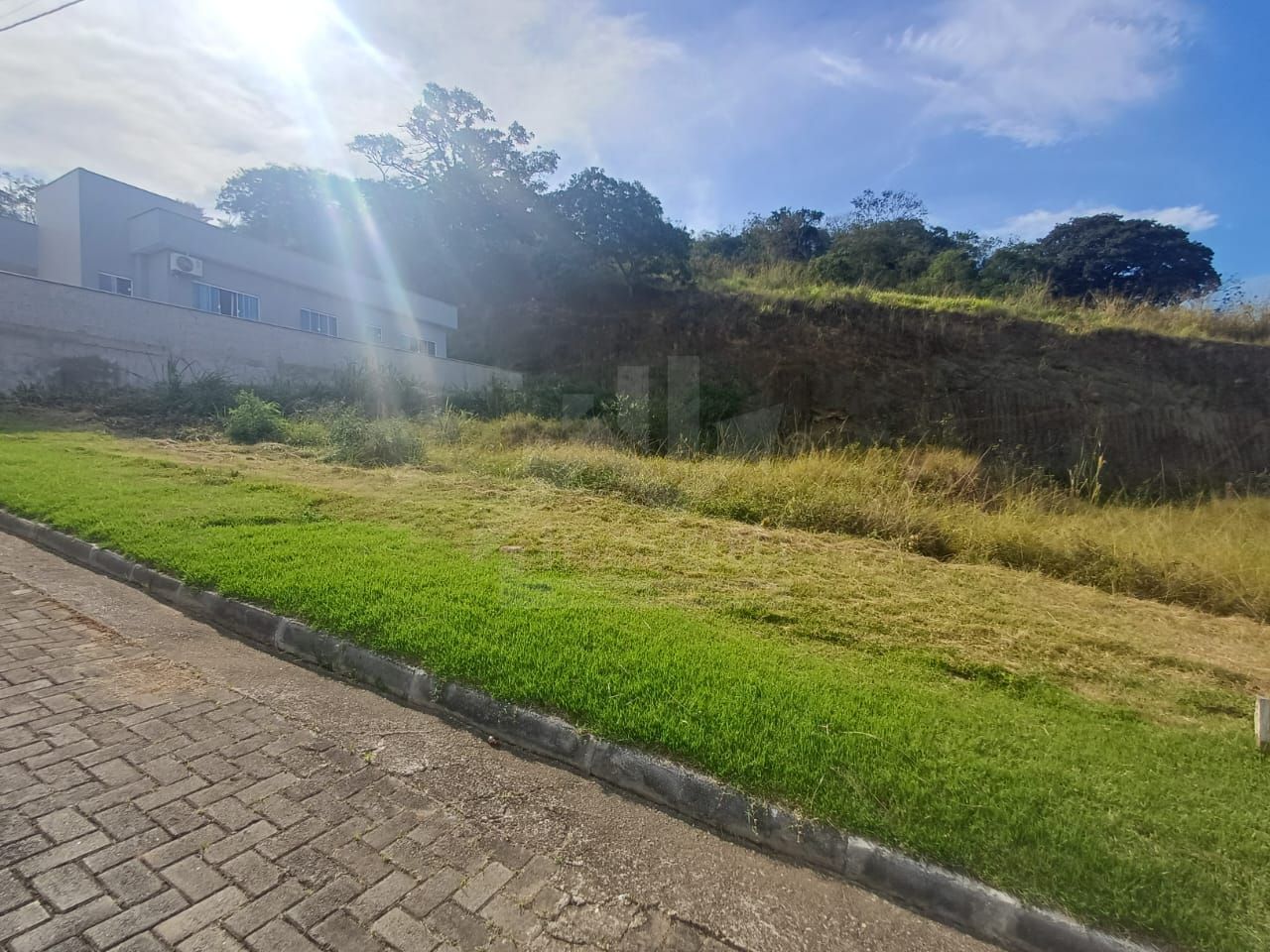FOTO_1 - 1