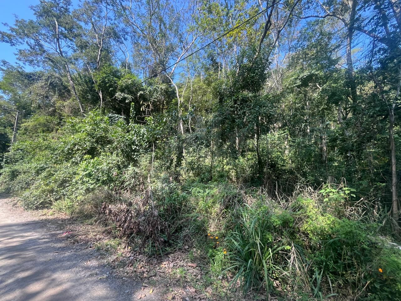 FOTO_2 - 2