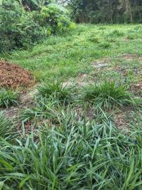 Lote à venda Retiro, Maricá - R$ 85.000 - TE0561