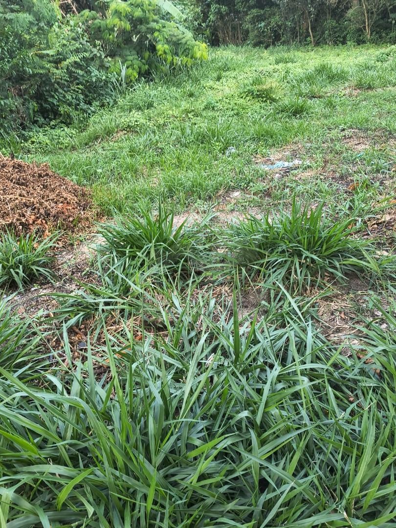 FOTO_2 - 2