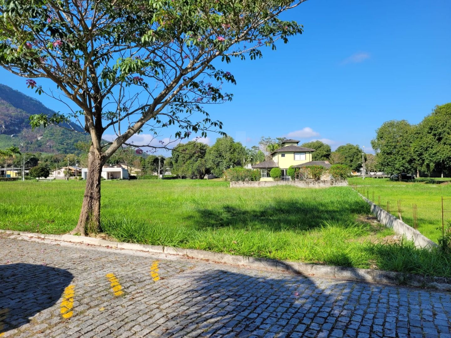 FOTO_1 - 1