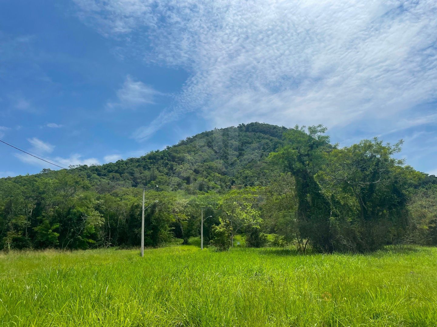 FOTO_1 - 1
