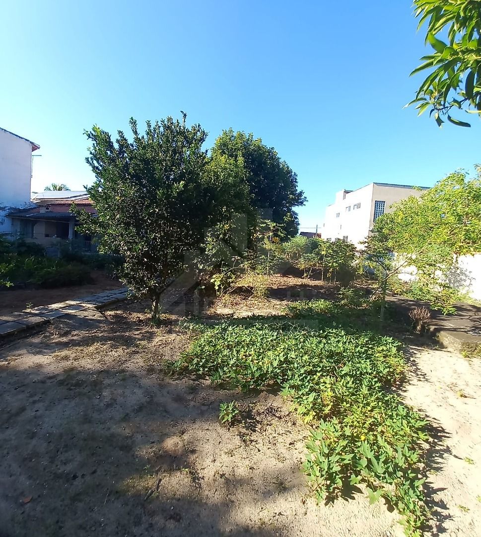 FOTO_1 - 1