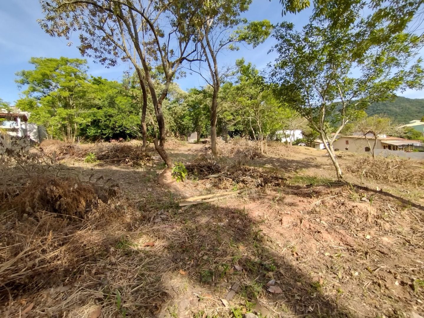 FOTO_3 - 3
