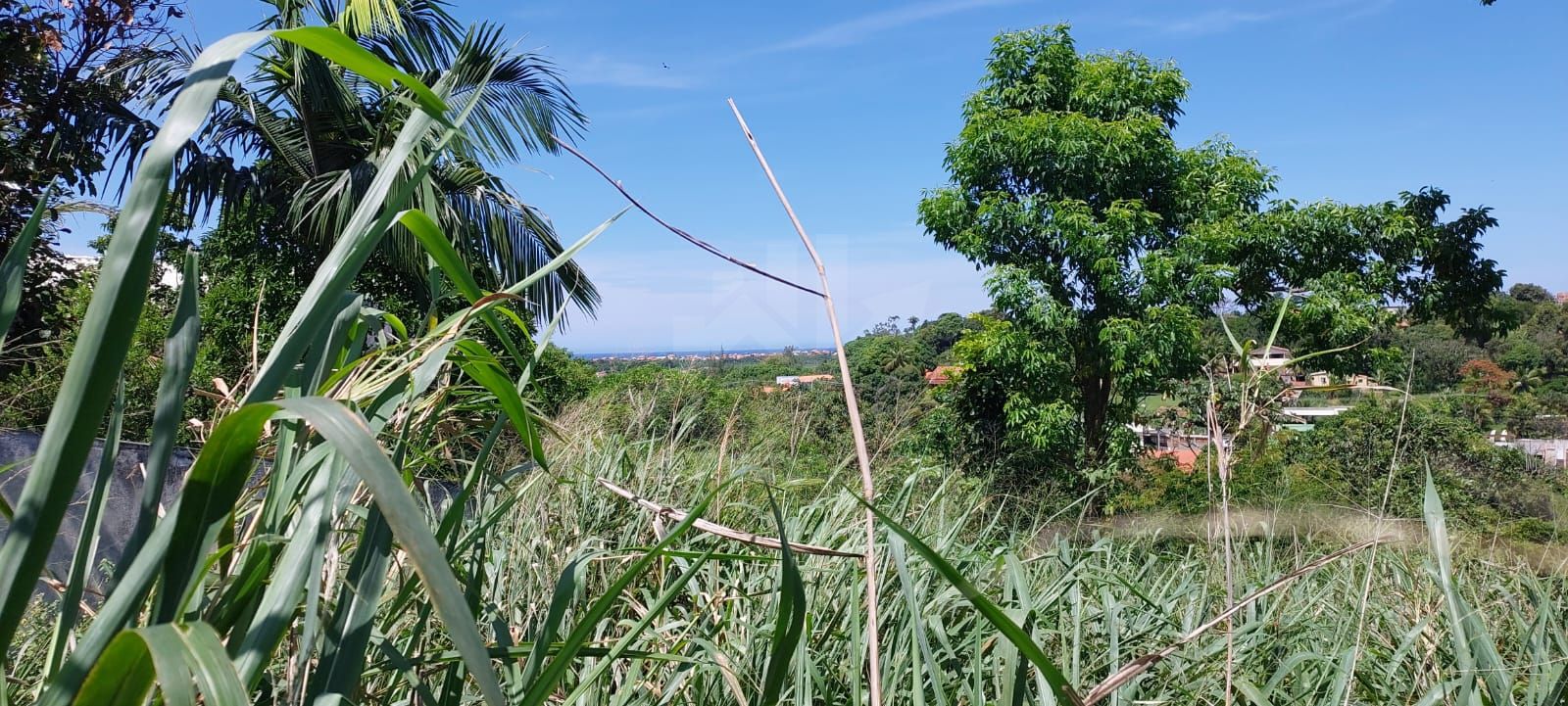 FOTO_2 - 2