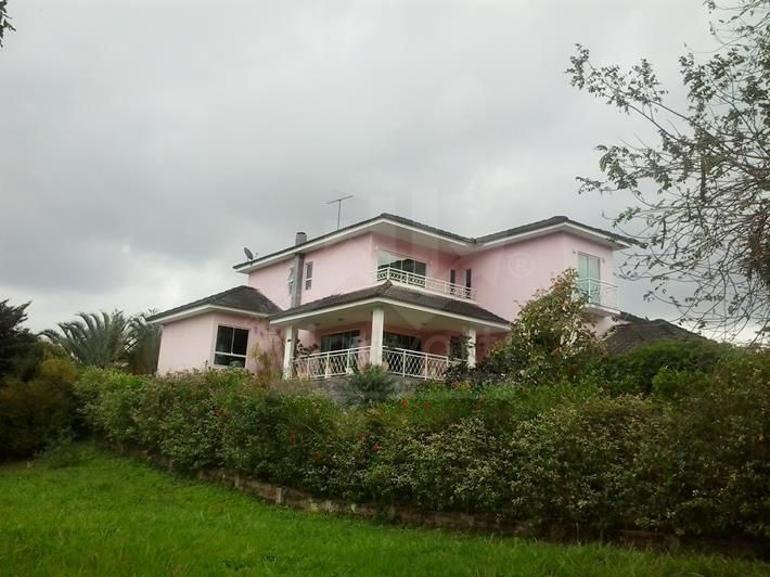 FOTO_1 - 1