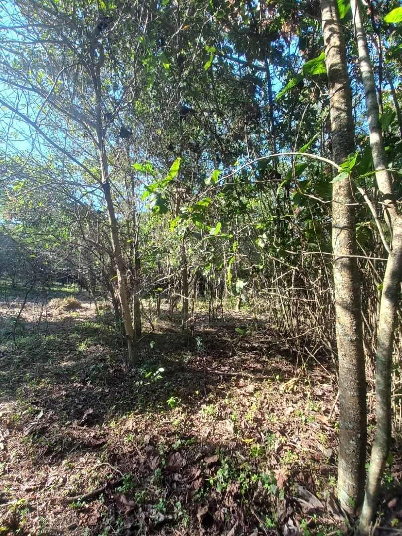 FOTO_1 - 1