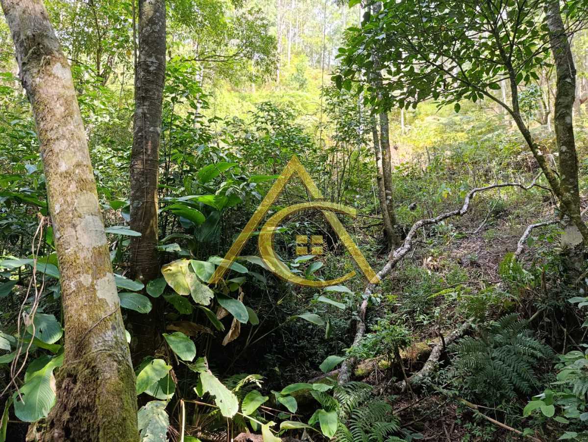 Conheça 4. do imóvel - Terreno à Venda no Condomínio Canton Suisse | 1.380 m² em Cascatinha - CANTONSUISSE - 4 4. - 4