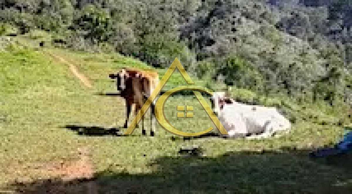 Conheça 2 do imóvel - Sítio 23460m² à venda Cascatinha, Nova Friburgo - R$ 550.000 - CALEDONIA - 3 2 - 3