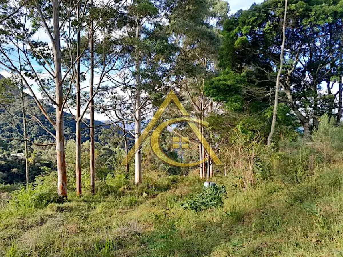 Conheça 6 do imóvel - Sítio 23460m² à venda Cascatinha, Nova Friburgo - R$ 550.000 - CALEDONIA - 7 6 - 7
