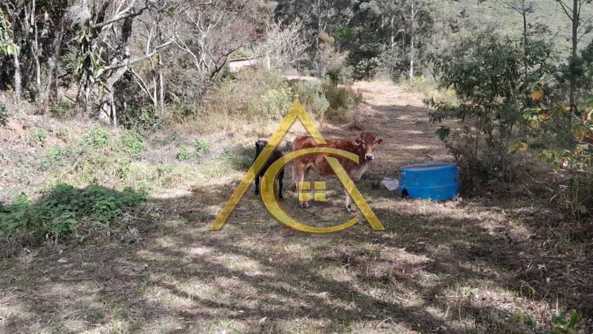 Conheça 28b9270c-dc0e-45e1-8e9e-f5a22a do imóvel - Sítio 23460m² à venda Cascatinha, Nova Friburgo - R$ 550.000 - CALEDONIA - 8 28b9270c-dc0e-45e1-8e9e-f5a22a - 8