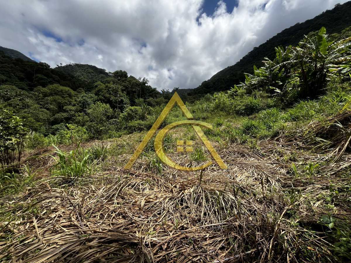 IMG_3263. - 15